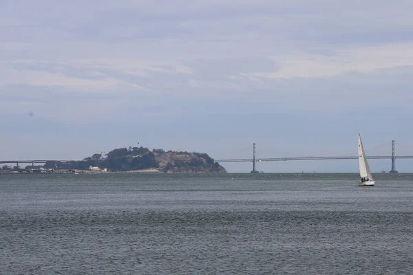 Voile Sur Voilier Pour Angel Island Dans Baie San Francisco — Photo