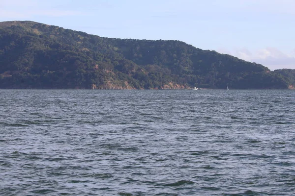 Segling Segelbåt Till Angel San Francisco Bay — Stockfoto