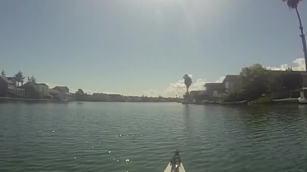 Kayak Nelle Lagune Città Affidataria California — Video Stock