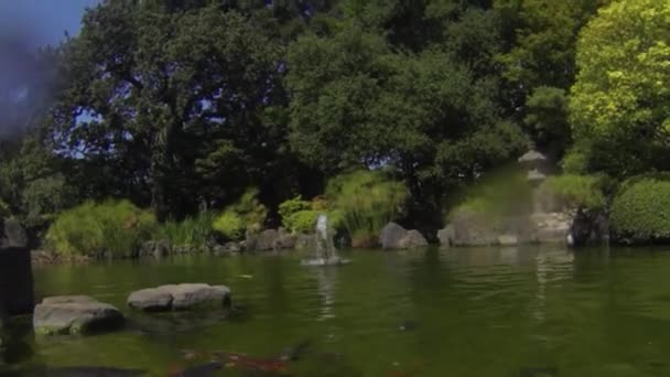 Japanska Trädgårdar Kalifornien — Stockvideo
