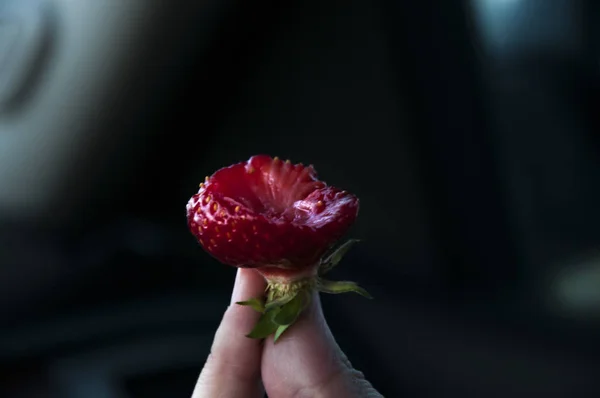 bitten strawberries in hand