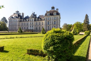 Bush ön plan ve kale Cheverny Loire Valley, Fransa ile Bahçe