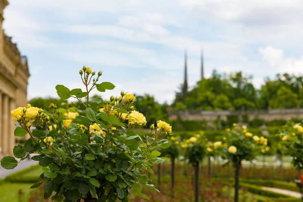 Bloemen in de Residenzgarten Wuerzburg met uitzicht op de kerktorens van St. Johanniskirche — Stockfoto