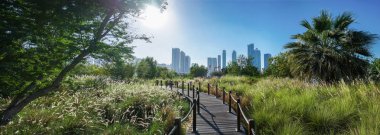 Yeşil ada - bir doğa rezerv şehir panoraması ile çevre düzenlemesi. Ada - kelebek Park, Sharjah, Emirates, Feb.2018