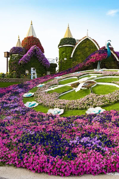 Dubai Emiratos Árabes Unidos Abril 2018 Miracle Garden 000M2 Cubiertos —  Fotos de Stock