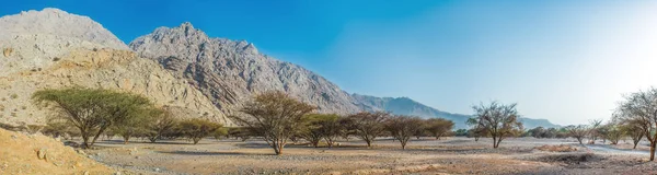 Yeşil vadi, Rak, Birleşik Arap Emirlikleri, Jun.2018 ile çölde dağlık arazinin panoramik görünümü