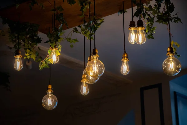 Hanging lamps with glowing filaments inside big glass lightbulbs of various shapes. Ceiling chandelier closeup with green liana branches. Retro style interior lighting decoration. Geometric shaped glass bulbs of different sizes. Retro style lightbulb