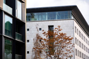 Almanya'nın Berlin şehrinin şehir merkezinde bina cephesinin geometrik beyaz arka plan üzerinde kuru kırmızı kahverengi yaprakları ile ağaç dalları. Minimal sonbahar kentsel peyzaj. Sonbahar şehir manzarası.