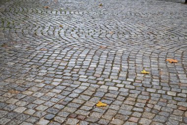 Birkaç sonbahar yaprakları ile Antik kaldırım dokulu arka plan. Almanya'nın Berlin şehrinde ıslak döşeli meydan. Arnavut kaldırımlı yol. Taş desenli doku. Sonbahar arka planı. Sonbahar yağmurlu hava arka plan.