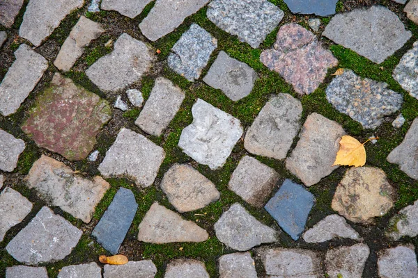 Квадратные Гранитные Камни Вымощены Тротуаром Заросшим Зеленым Мхом Желтый Осенний — стоковое фото