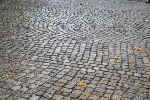 いくつかの秋の葉を持つ古代の舗装テクスチャの背景 ドイツのベルリン市に湿った舗装された広場 石畳の道石模様のテクスチャー 秋の背景 秋の雨天の背景 — ストック写真
