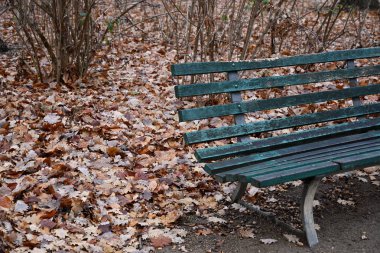 Kuru sonbahar ile Sıkıntılı ahşap koyu yeşil boyalı park bankı Berlin Almanya Tiergarten parkta arka plan bırakır. Sonbahar yalnızlık manzara. Yalnızlık kavramı. Mevsimlik fon. Sonbahar manzarası. Sonbahar sezonu görünümü.