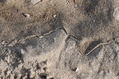 İki parçalı berrak kum yüzeyi ıslak kum ve kuru kum ve aralarında kavisli kenar oluşur. Isliyiz lisi. Deniz tatili geçmişi. Plaj dokusu. Doğal kumlu zemin. 