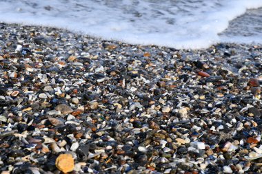 Karadeniz kıyı şeridinin köpük dalgasında renkli deniz kabukları ve küçük taşlar. Doğal plaj çakıl dokusu. Seyahat geçmişi. Deniz tatili arka planı. Tuzlu su dalgaları.  