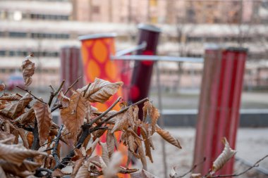 Renkli geometrik şekiller ve çizgiler bulanık arka plan üzerinde kuru kahverengi yaprakları ile ağaç dalları. Berlin Almanya'sının sonbahar dokuları. Sonbahar estetik arka plan. Soyut arka plan. Berlin Almanya'da Sonbahar.