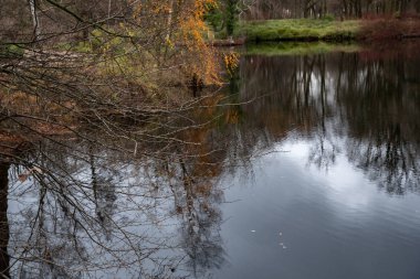 Berlin Almanya Tiergarten parkta göl ile sakin sonbahar manzara. Ön planda çıplak ağaç dalları ve dalgalı su yüzeyinde ağaç siluetleri bulanık yansıması. Pitoresk sonbahar görünümü.