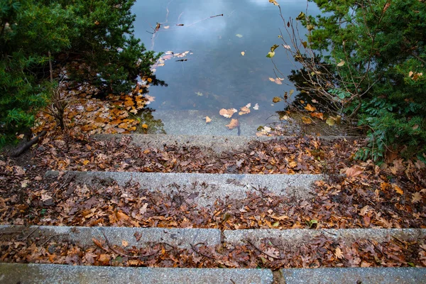 Old stone stair covered with wet fall leaves near calm pond water surface with blurred reflection. Stairway to lake in Tiergarten park of Berlin Germany. Autumn background of leaves floating on water.