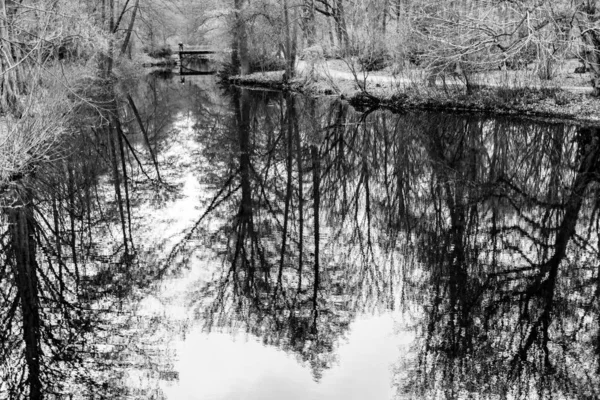 베를린 독일의 공원에서 호수와 풍경의 나무의 실루엣은 연못의 매끄러운 표면에 — 스톡 사진