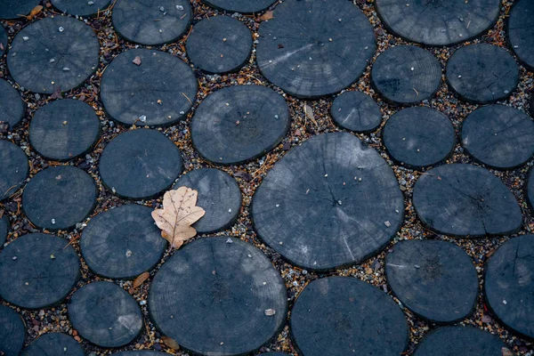 조각과 잎으로 그루터기의 어두운 지상에 로그의 표면의 상단보기 배경으로 합니다 — 스톡 사진