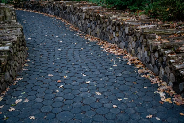 秋の葉で覆われた丸い木材で舗装された曲がった歩道の秋の風景 木の切り株はテクスチャを断面します ひび割れた木が地面に記録されます 秋の背景 秋の季節の背景 — ストック写真