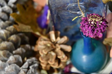 Mor Krizantem gür kurutulmuş çiçek arka planda bulanık çam kozalağı dokuları ile mavi seramik vintage vazo. Grunge tek altın-papatya çiçek vazo ile natürmort. Çiçek buketi. 