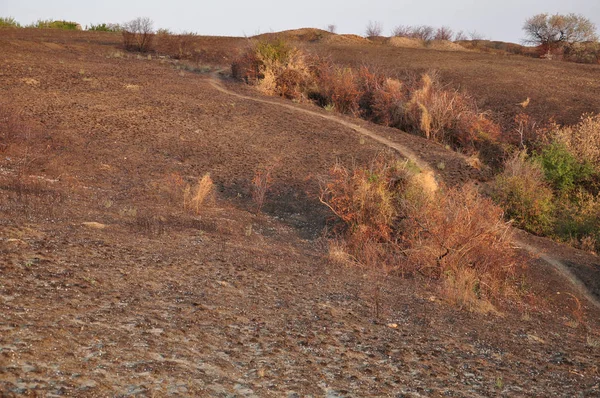 Autumn hill landscape of burnt ground and curved footpath between colorful bushes. Fall view of countryside in sunset light. Natural seasonal textures of dry grass and brown soil land. Natural backgrounds. Fall season view. Autumnal textures.