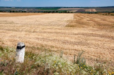 Gündüz arazi manzarası, doğa arka planı.