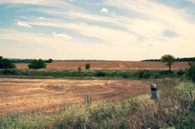 Gündüz arazi manzarası, doğa arka planı.