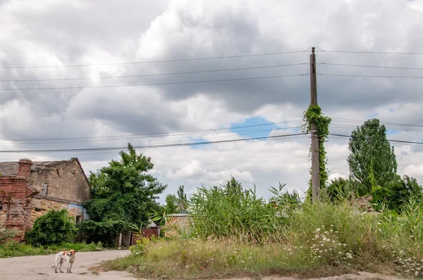 Landschaft Sommerlichen Grau — Stockfoto