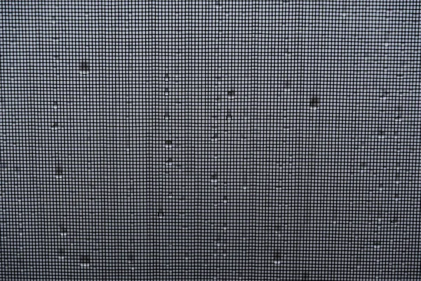 Window Grid Water Drops — Stock Photo, Image