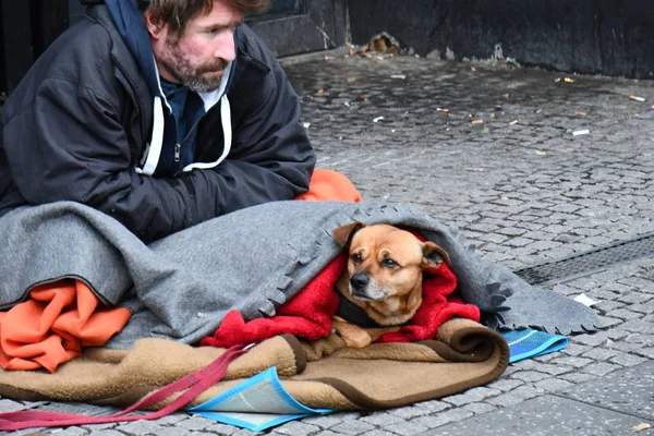 Berlin / Almanya - 12 09 2019: Evsiz fakir adam battaniyeye sarılmış köpekle yerde oturuyor.