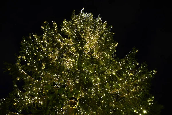 Sapin Décoré Avec Des Boules Festives — Photo