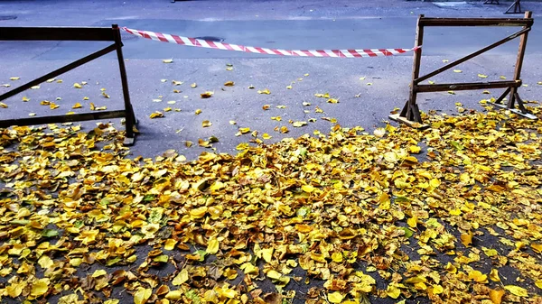 Plot Pruhovanou Stuhou Žlutým Podzimním Listím — Stock fotografie