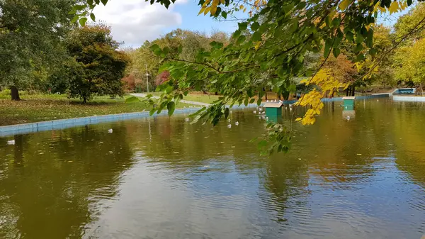 Parque Outonal Com Árvores Coloridas Lago Reflexivo — Fotografia de Stock