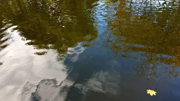 Pfütze Mit Reflexion Herbstlicher Bäume — Stockfoto