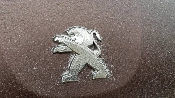 Snow covered car details in winter