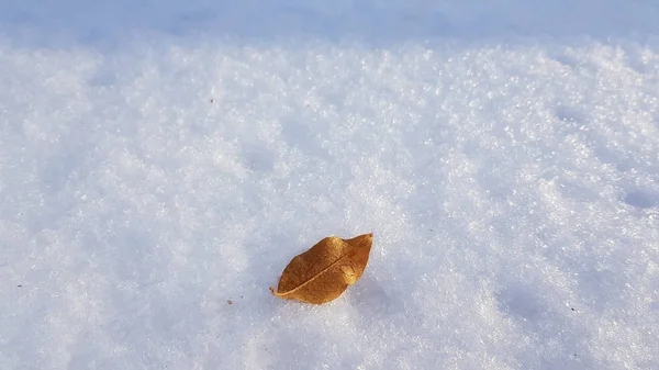 Suelo Cubierto Nieve Invierno — Foto de Stock