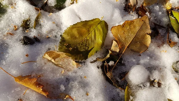 Suelo Cubierto Nieve Invierno — Foto de Stock