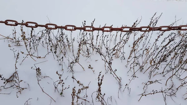 Wandern Freien Bei Kaltem Winterwetter — Stockfoto