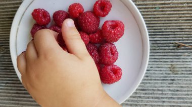 Çocuk eli tabaktan ahududu alıyor.