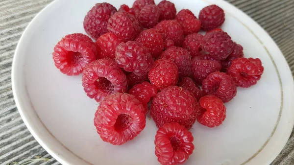 Plate Full Raspberries — Stock Photo, Image