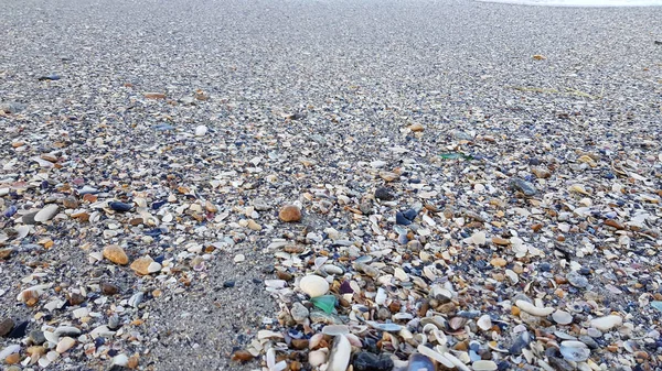 Mar Com Variedade Conchas Pedaços Vidro — Fotografia de Stock