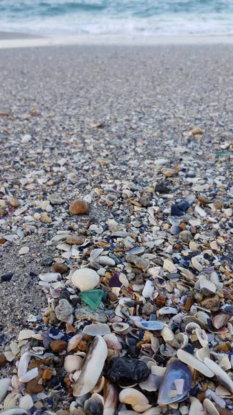 Küste Mit Einer Vielzahl Von Muscheln Und Glasstücken — Stockfoto