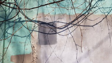 Sert desenli beton duvar arkaplanı