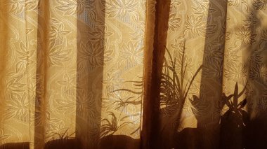 Gölge ve ışıkla penceredeki perdelerin görüntüsü