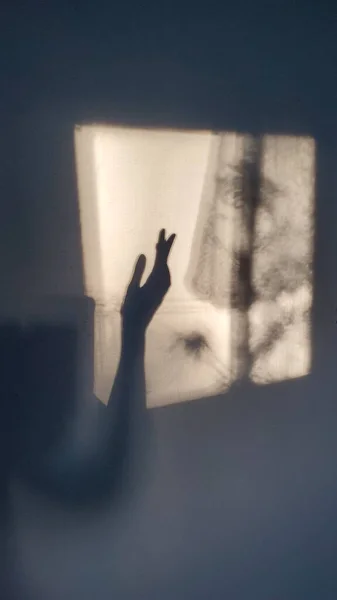Blurry Elegante Silueta Femenina Sombras Pared Sutil Sepia Tonificado Composición —  Fotos de Stock