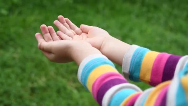 Las pequeñas manos de los niños atrapan gotas de lluvia en las palmas de las manos de cerca con fondo borroso verde y espacio para copiar — Vídeos de Stock