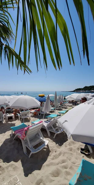 Vista Través Hojas Palmera Paisaje Marino Verano Costa Europa Playa — Foto de Stock