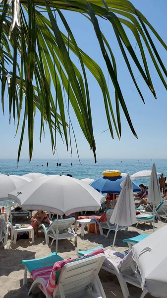 Zeegezicht Geschoten Door Palmbladeren Aan Kust Van Europa Luxe Strand — Stockfoto