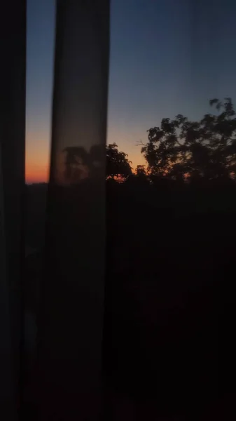 Размытый Вид Восхода Солнца Темноте Силуэтами Деревьев Эффект Художественной Пленки — стоковое фото